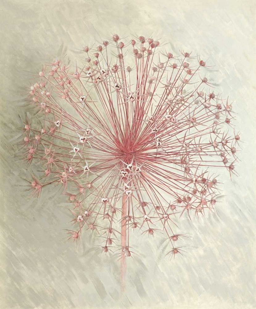Allium Seedhead I art print by Elisabeth Verdonck for $57.95 CAD