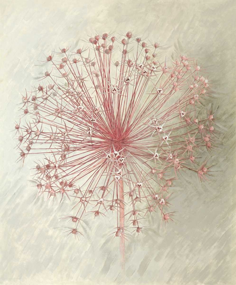 Allium Seedhead II art print by Elisabeth Verdonck for $57.95 CAD