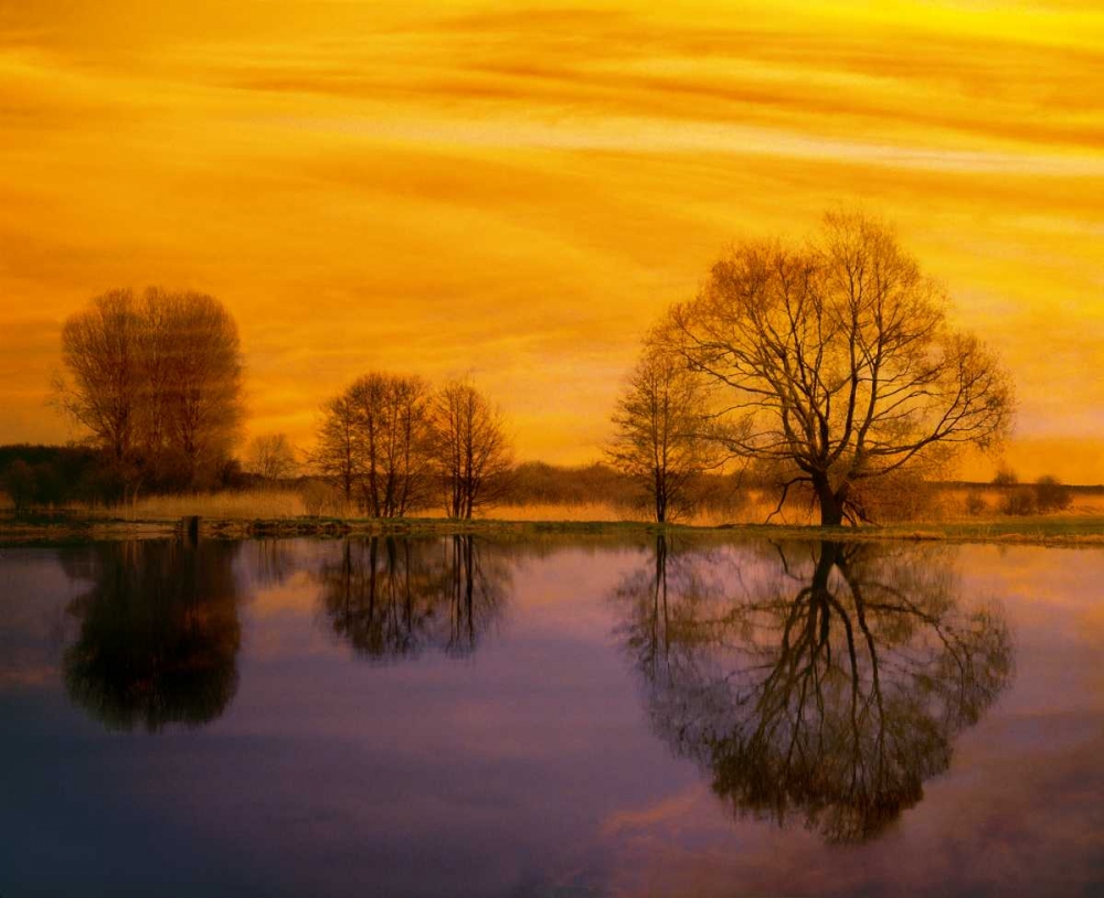 Afterglow II art print by Gerd Weissing for $57.95 CAD