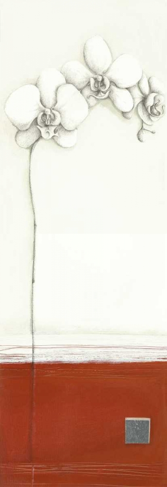 White Orchid II art print by Ally-Reader, Robert Gore for $57.95 CAD