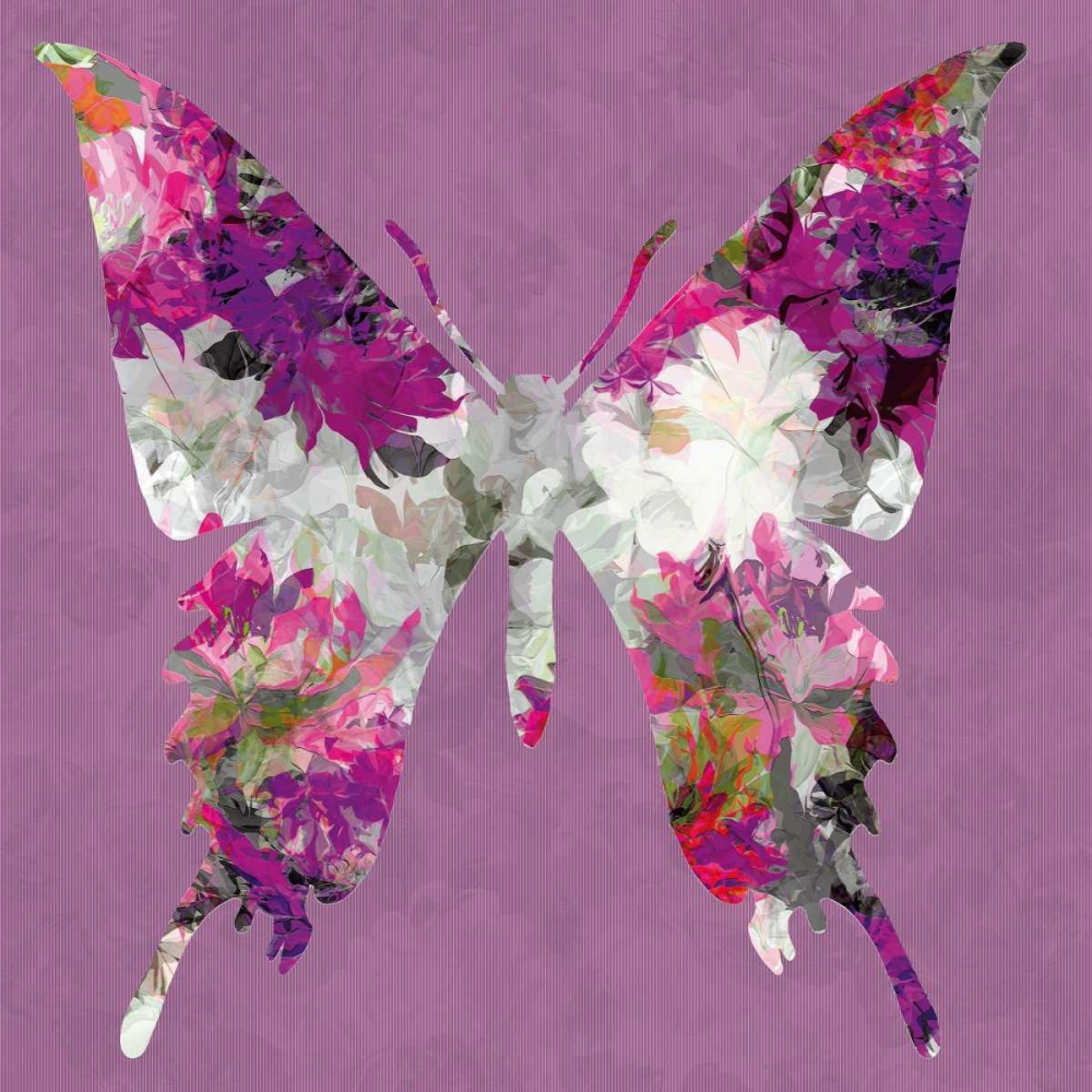 Butterfly art print by Sally Scaffardi for $57.95 CAD