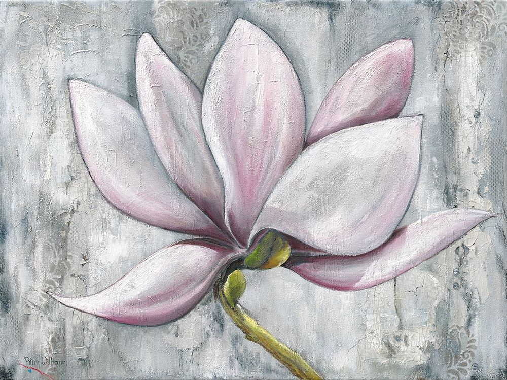 PINK MAGNOLIA art print by Rian Withaar for $57.95 CAD