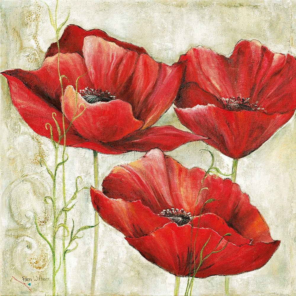 THREE RED POPPIES I art print by Anna Field for $57.95 CAD