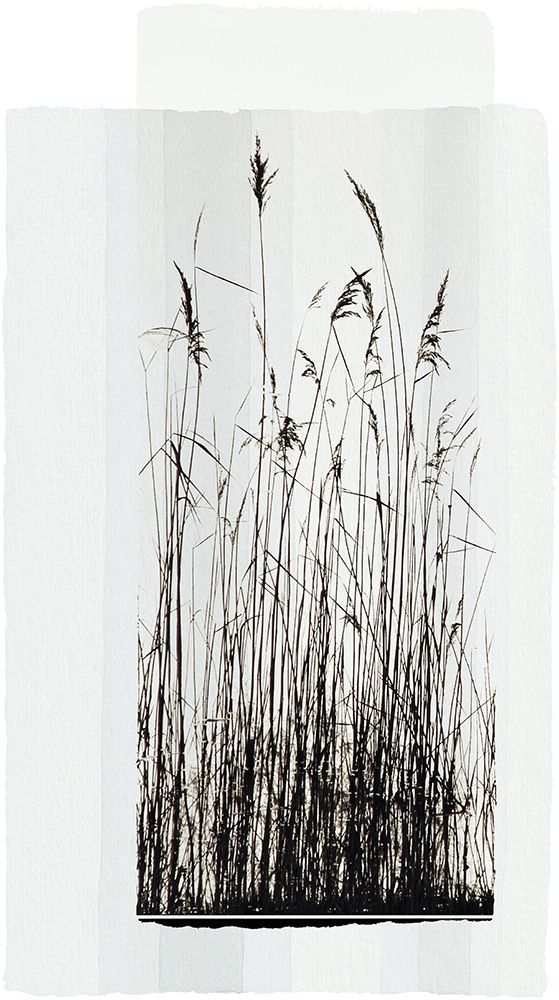 Garden Prairie I art print by Verbeek-Van Den Broek for $57.95 CAD