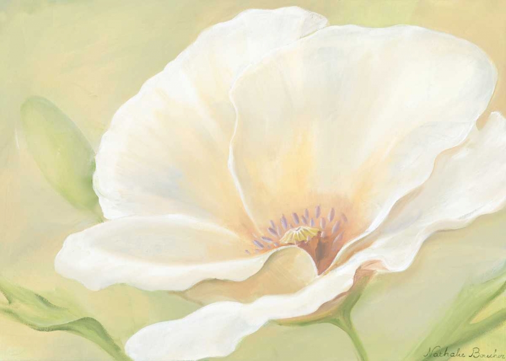 White flower I art print by Nathalie Boucher for $57.95 CAD