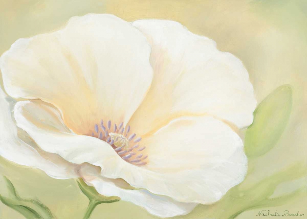 White flower II art print by Nathalie Boucher for $57.95 CAD