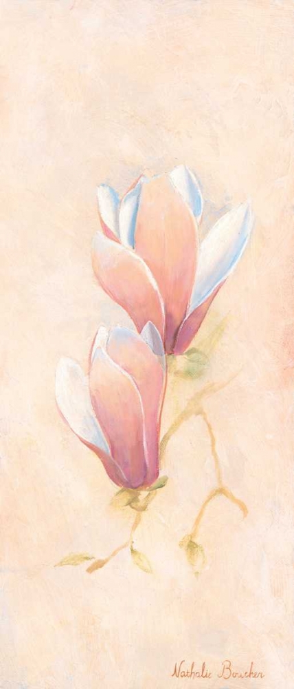 Magnolia 1-3 art print by Nathalie Boucher for $57.95 CAD