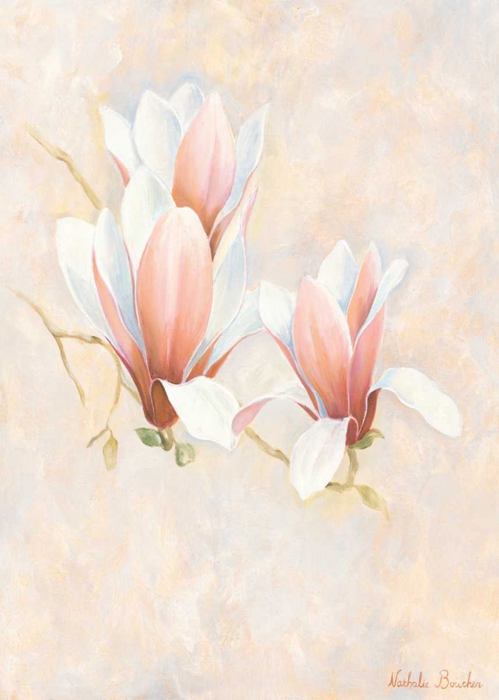 Magnolia 2-3 art print by Nathalie Boucher for $57.95 CAD