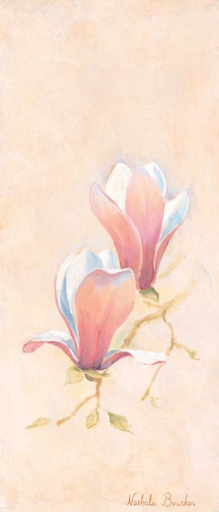 Magnolia 3-3 art print by Nathalie Boucher for $57.95 CAD