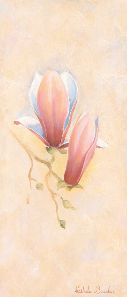 Pink magnolia 1-3 art print by Nathalie Boucher for $57.95 CAD