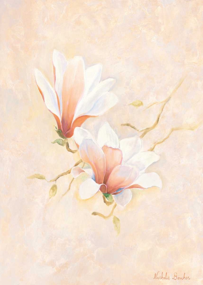 Pink magnolia 2-3 art print by Nathalie Boucher for $57.95 CAD
