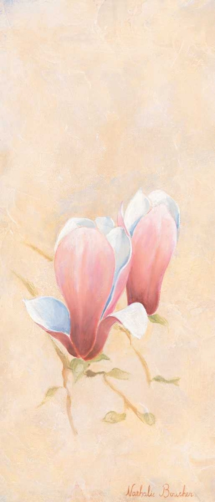 Pink magnolia 3-3 art print by Nathalie Boucher for $57.95 CAD