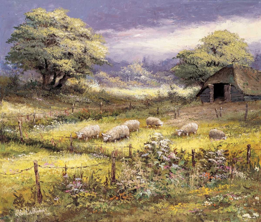 Sheep art print by Reint Withaar for $57.95 CAD