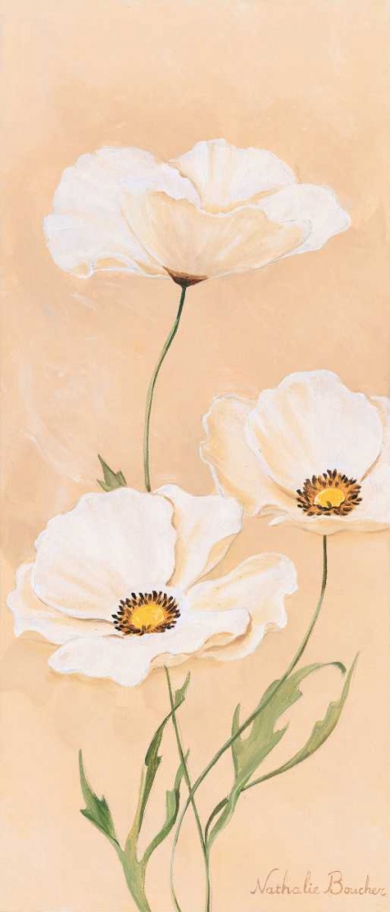White poppy I art print by Nathalie Boucher for $57.95 CAD