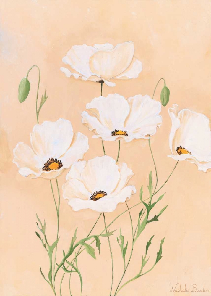 White poppy II art print by Nathalie Boucher for $57.95 CAD