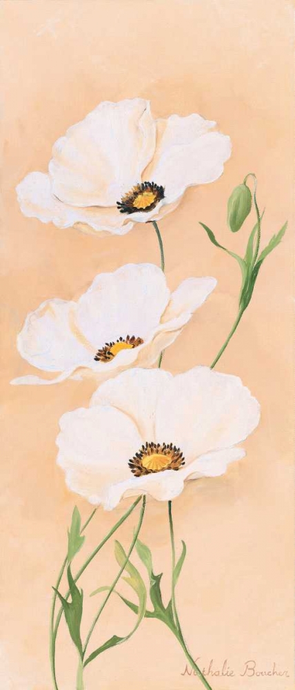 White poppy III art print by Nathalie Boucher for $57.95 CAD