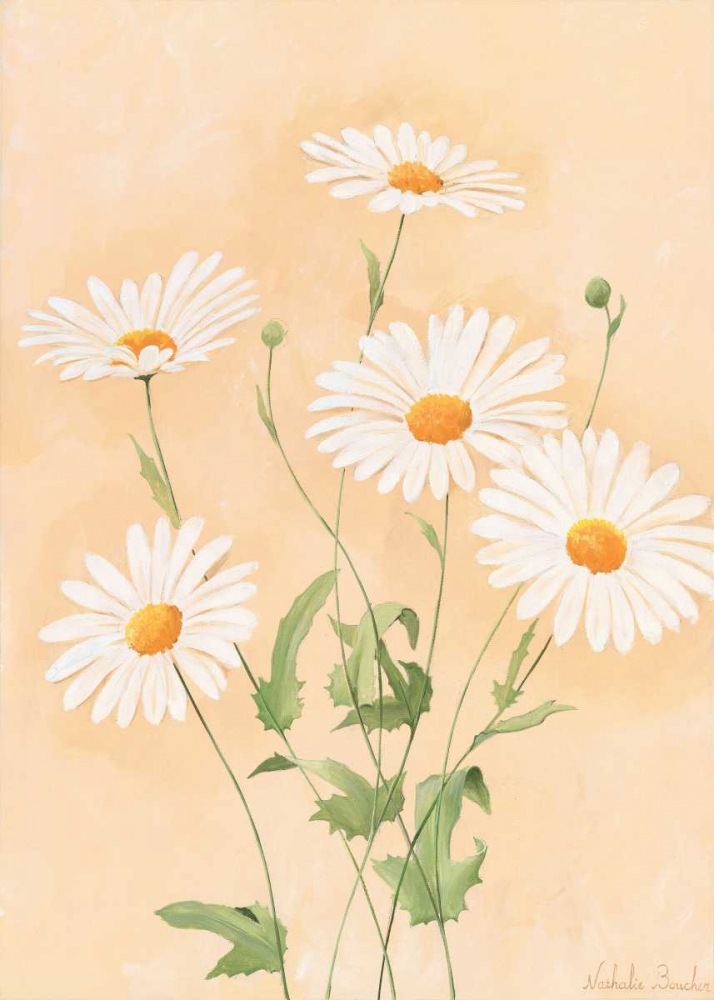 White margarite II art print by Nathalie Boucher for $57.95 CAD