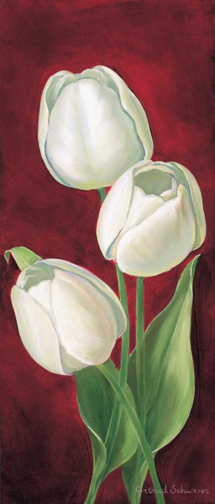 Tulips on burdundy I art print by Gertrud Schweser for $57.95 CAD