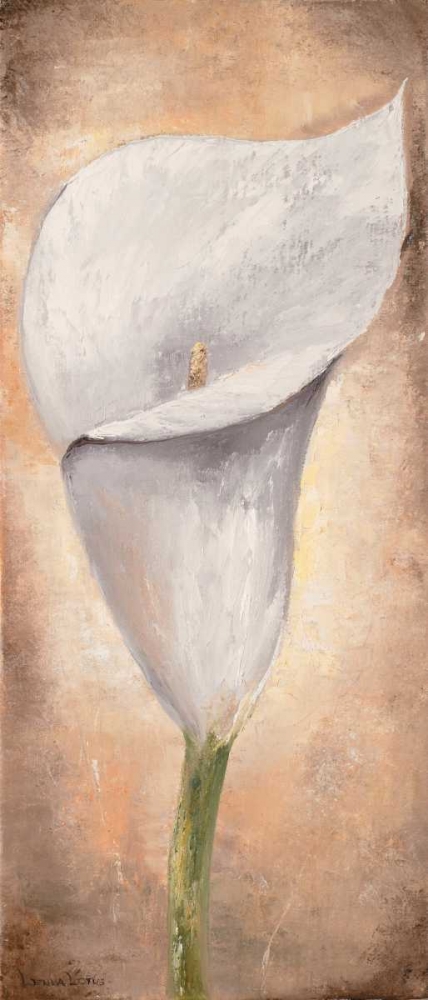 Calla Lilly III art print by Lenna Lotus for $57.95 CAD