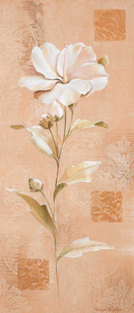 Dream in cream I art print by Peter Butler for $57.95 CAD