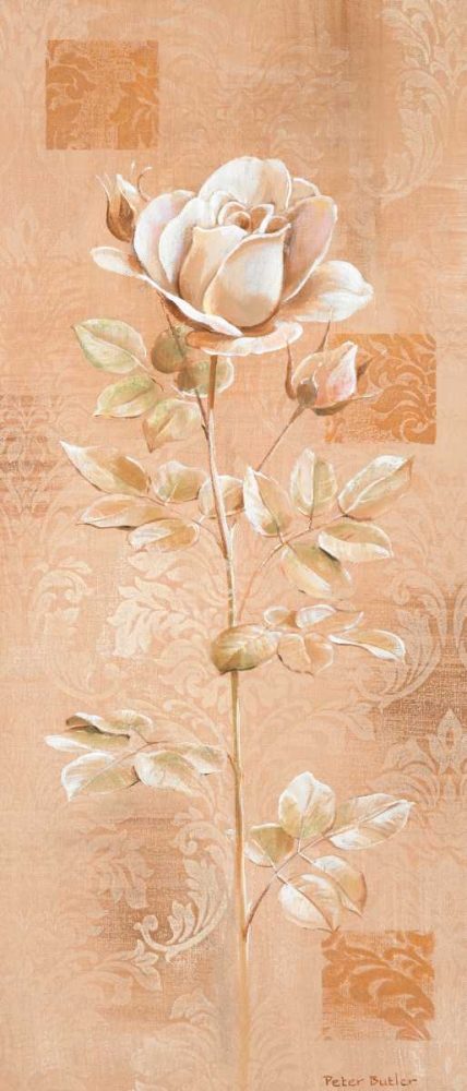 Dream in cream II art print by Peter Butler for $57.95 CAD
