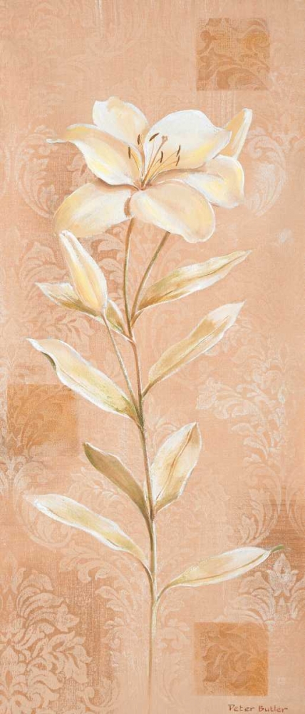 Dream in cream III art print by Peter Butler for $57.95 CAD