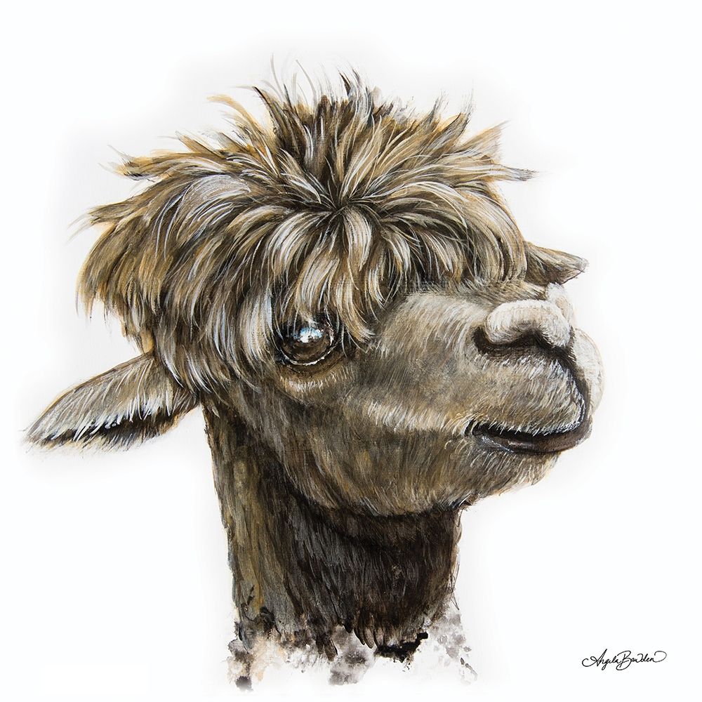 Skippy the Alpaca art print by Angela Bawden for $57.95 CAD
