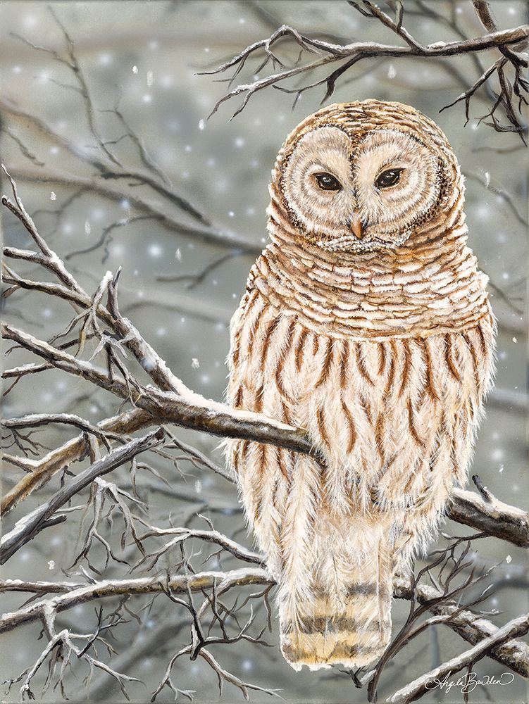 Snowy Owl art print by Angela Bawden for $57.95 CAD