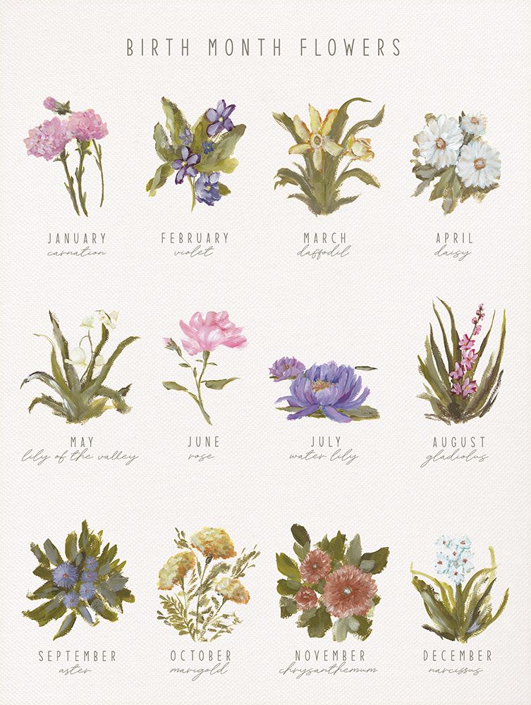 Birth Month Flowers art print by Amanda Hilbrun for $57.95 CAD