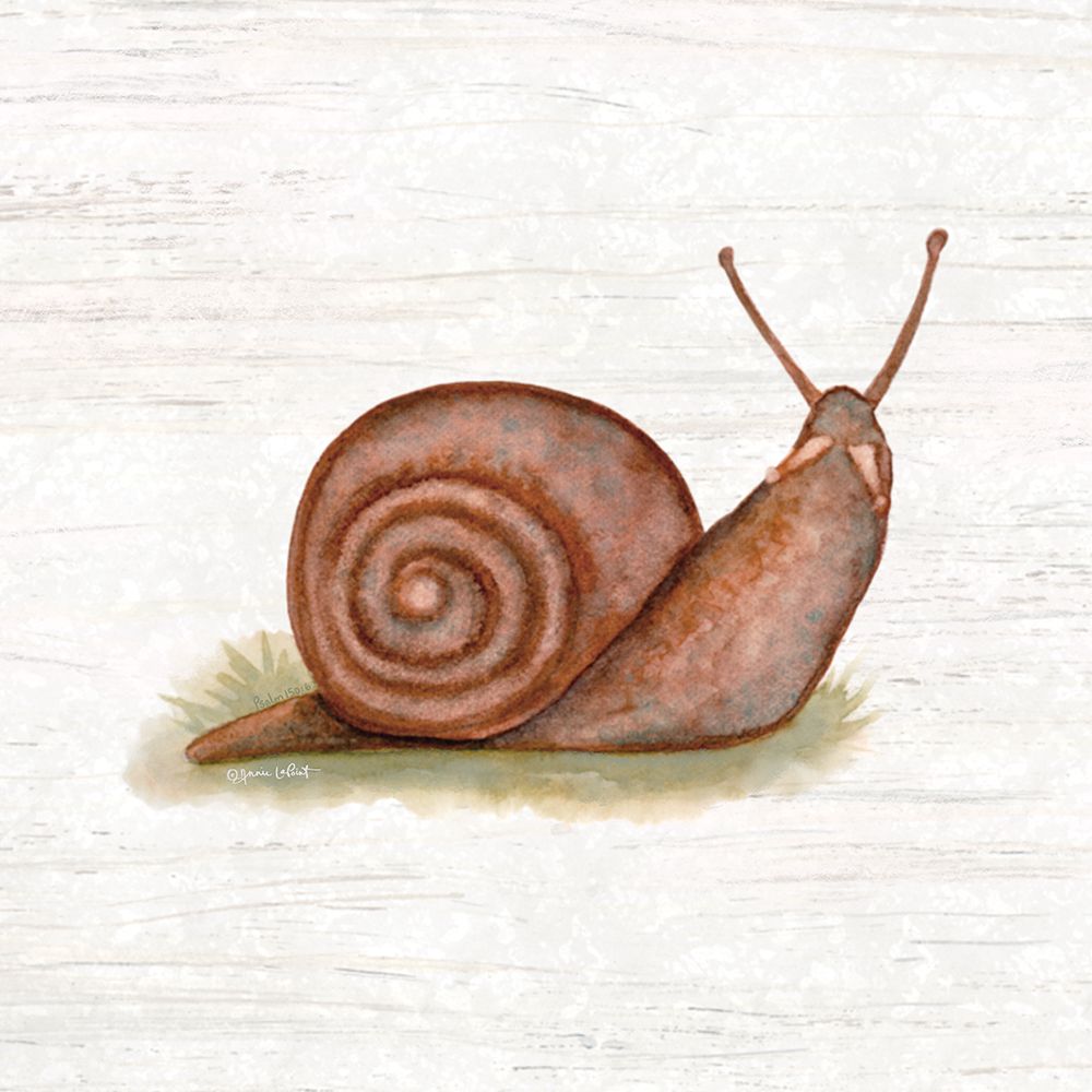 Honeybloom Snail art print by Annie LaPoint for $57.95 CAD