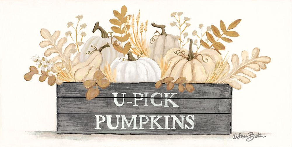 U-Pick Pumpkins     art print by Sara Baker for $57.95 CAD