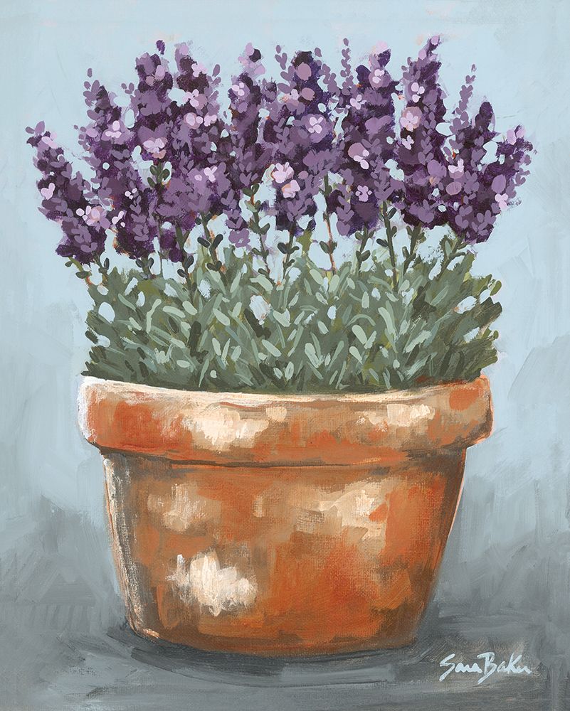 Potted Lavender art print by Sara Baker for $57.95 CAD