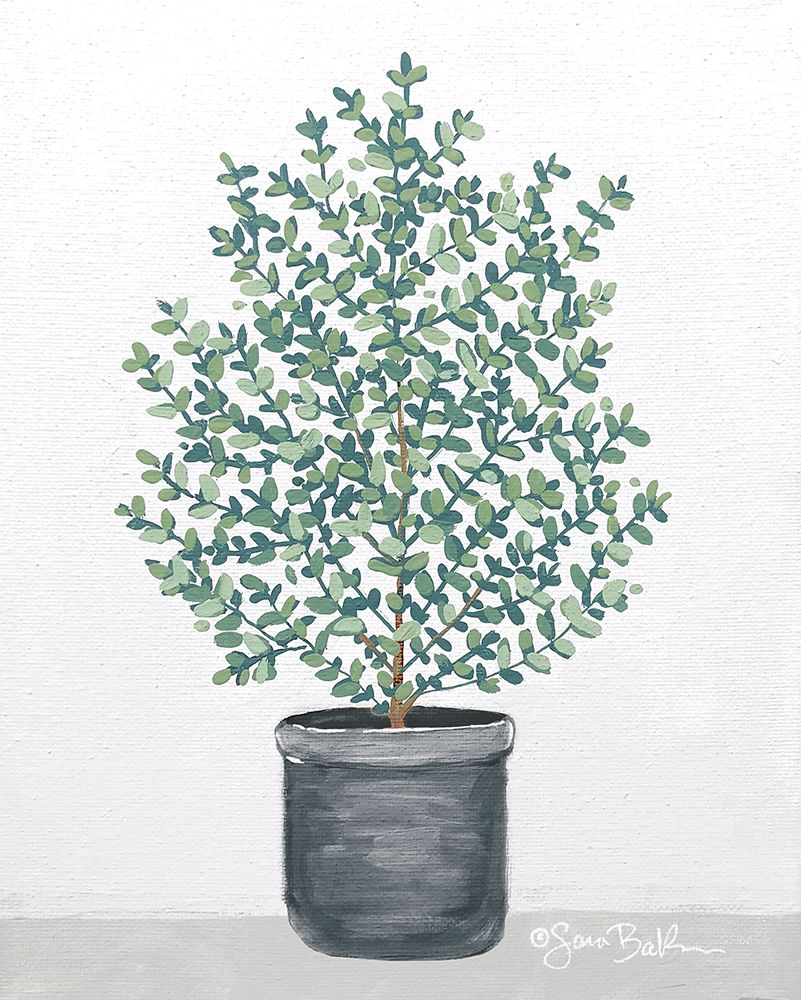 Potted Patience II art print by Sara Baker for $57.95 CAD