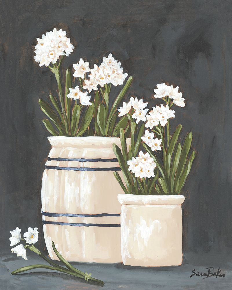 Vintage Crocks and Paperwhites art print by Sara Baker for $57.95 CAD
