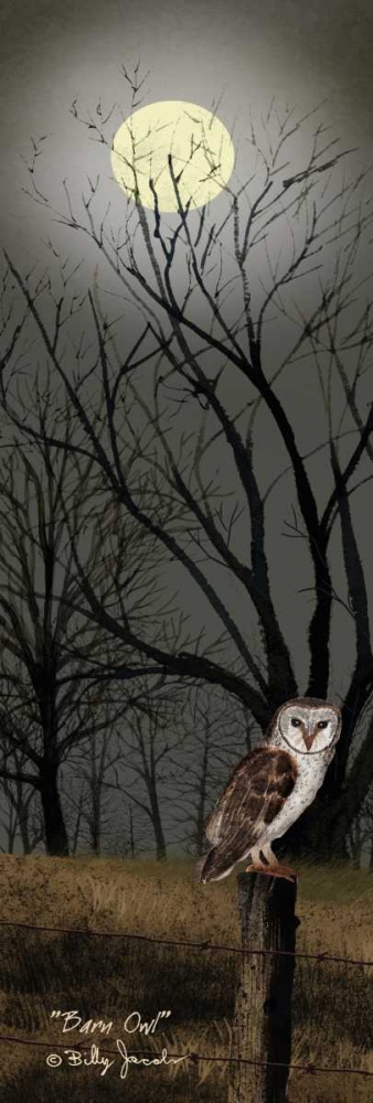 Barn Owl art print by Billy Jacobs for $57.95 CAD