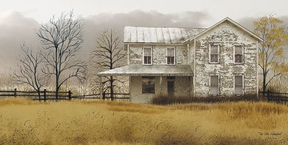 Old Homeplace art print by Billy Jacobs for $57.95 CAD