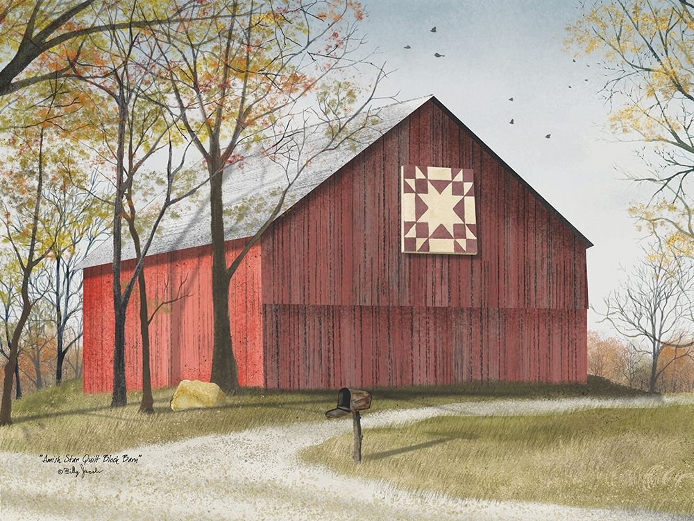 Star Quilt Barn art print by Billy Jacobs for $57.95 CAD