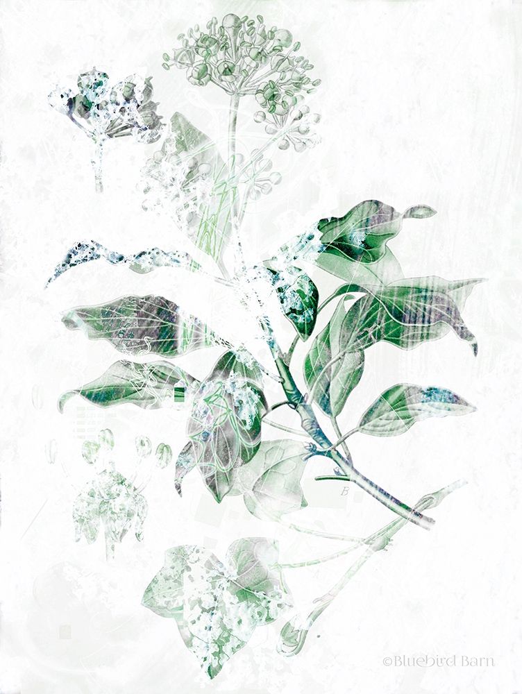 Verbena Botanical   art print by Bluebird Barn for $57.95 CAD