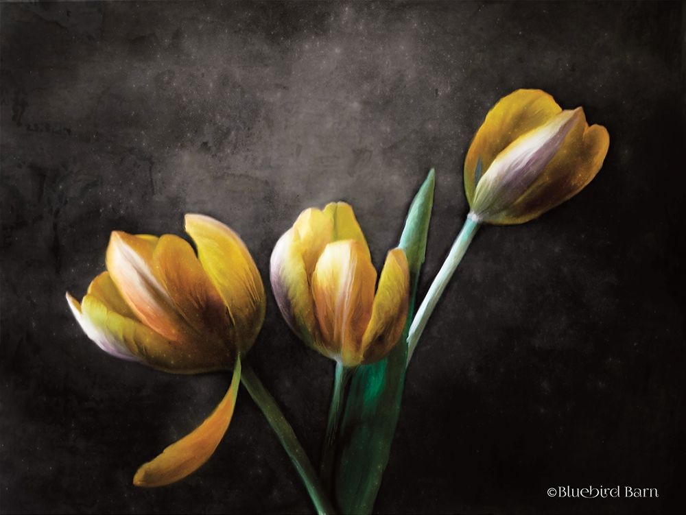 Contemporary Floral Tulips art print by Bluebird Barn for $57.95 CAD
