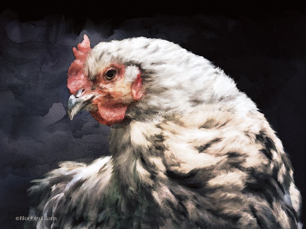 Rooster Portrait art print by Bluebird Barn for $57.95 CAD