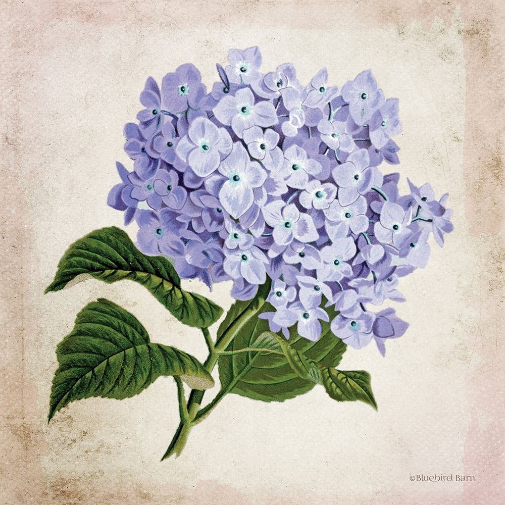 Vintage Lilac art print by Bluebird Barn for $57.95 CAD