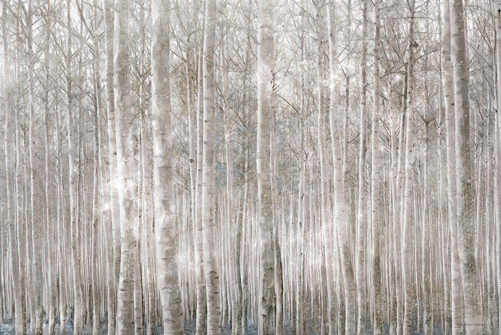 Birch Trees     art print by Bluebird Barn for $57.95 CAD