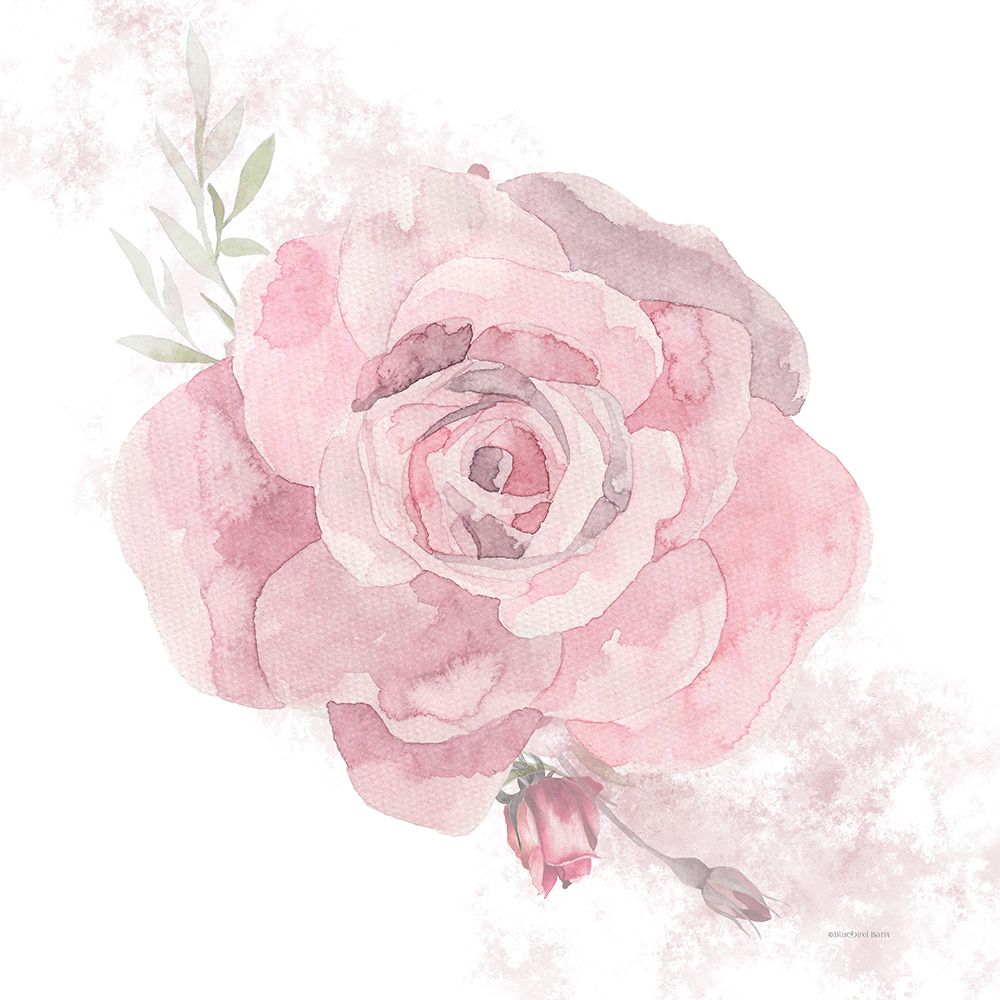 Cottage Rose art print by Bluebird Barn for $57.95 CAD