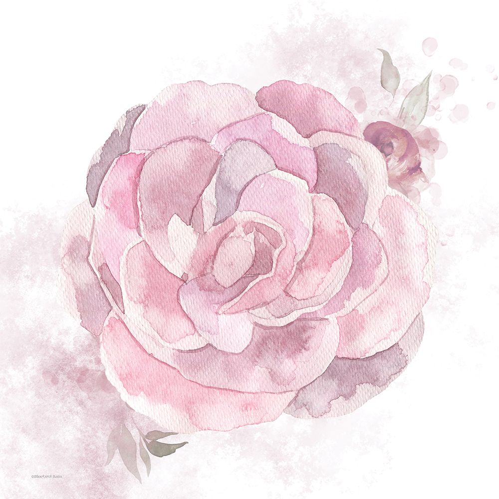 Cottage Peony II art print by Bluebird Barn for $57.95 CAD