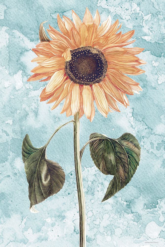 Vintage Sunflower art print by Bluebird Barn for $57.95 CAD