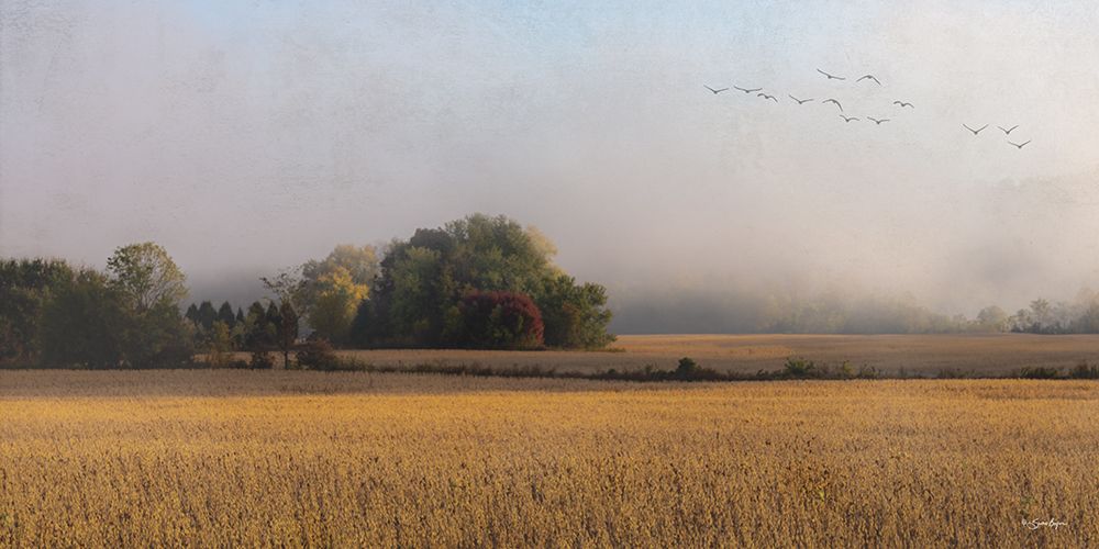 Flyover art print by Susie Boyer for $57.95 CAD