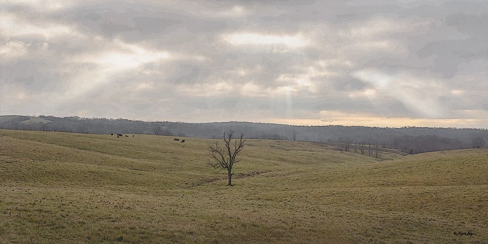 Rays Shining Down art print by Susie Boyer for $57.95 CAD