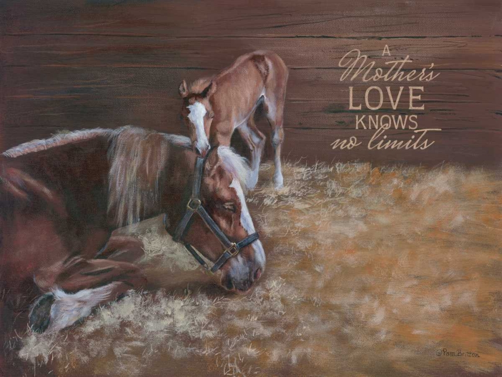 A Mothers Love art print by Pam Britton for $57.95 CAD