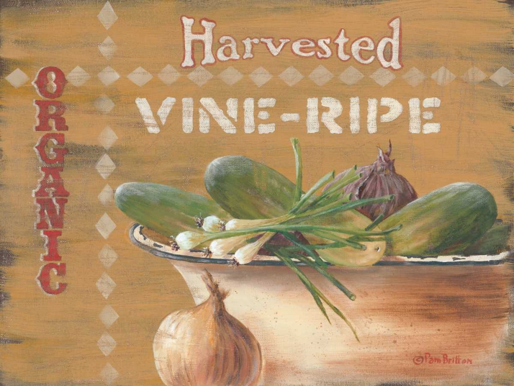 Vine Ripe art print by Pam Britton for $57.95 CAD