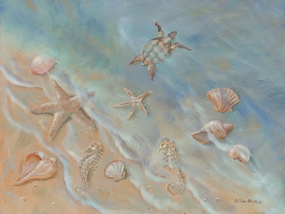 Seashore Star II art print by Pam Britton for $57.95 CAD
